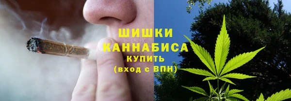 прущий лед Заводоуковск